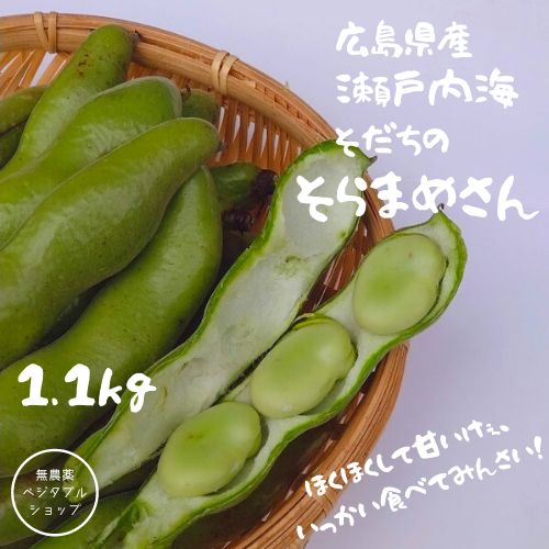 広島県産 無農薬 おたふく そら豆 1.1㎏ - メルカリ