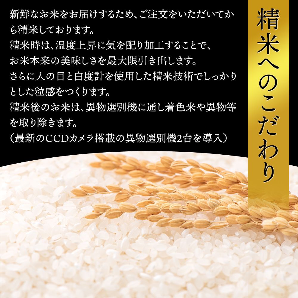 山形県産 コシヒカリ