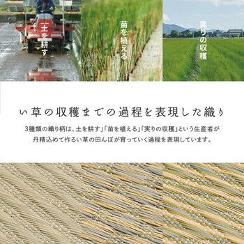 本間3畳 柄上敷き