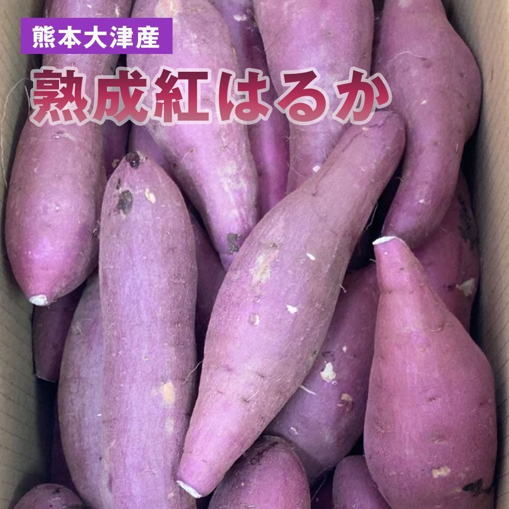 熊本県産 新物紅はるか 小サイズ 優品 箱込20キロ - 野菜