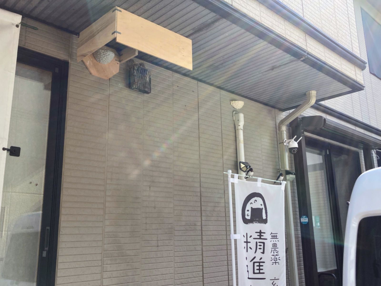 朔★本家★リアルな人工ツバメの巣★置き型タイプ未使用品★マニュアル付き 朔様専用☆本家☆リアルな人工ツバメの巣☆置き型タイプ未使用品