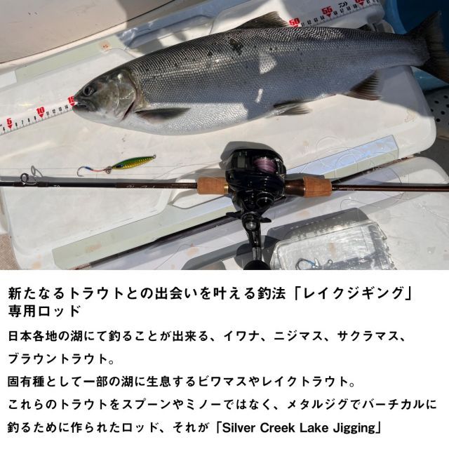 ダイワ トラウトロッド シルバークリーク レイクジギング 63LB-S
