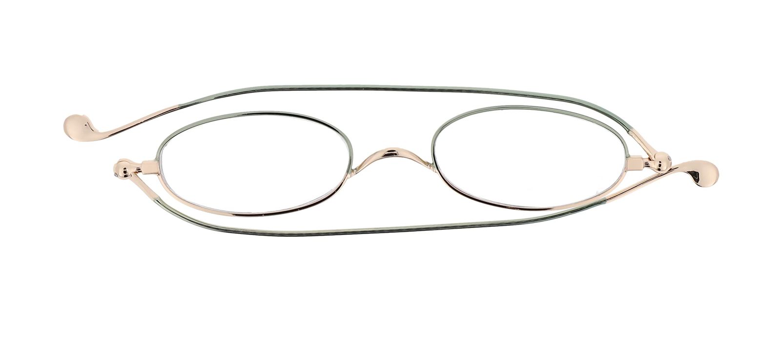 グラキリス 現地球 鶴仙園 関口貴仁 セキグチタカヒト