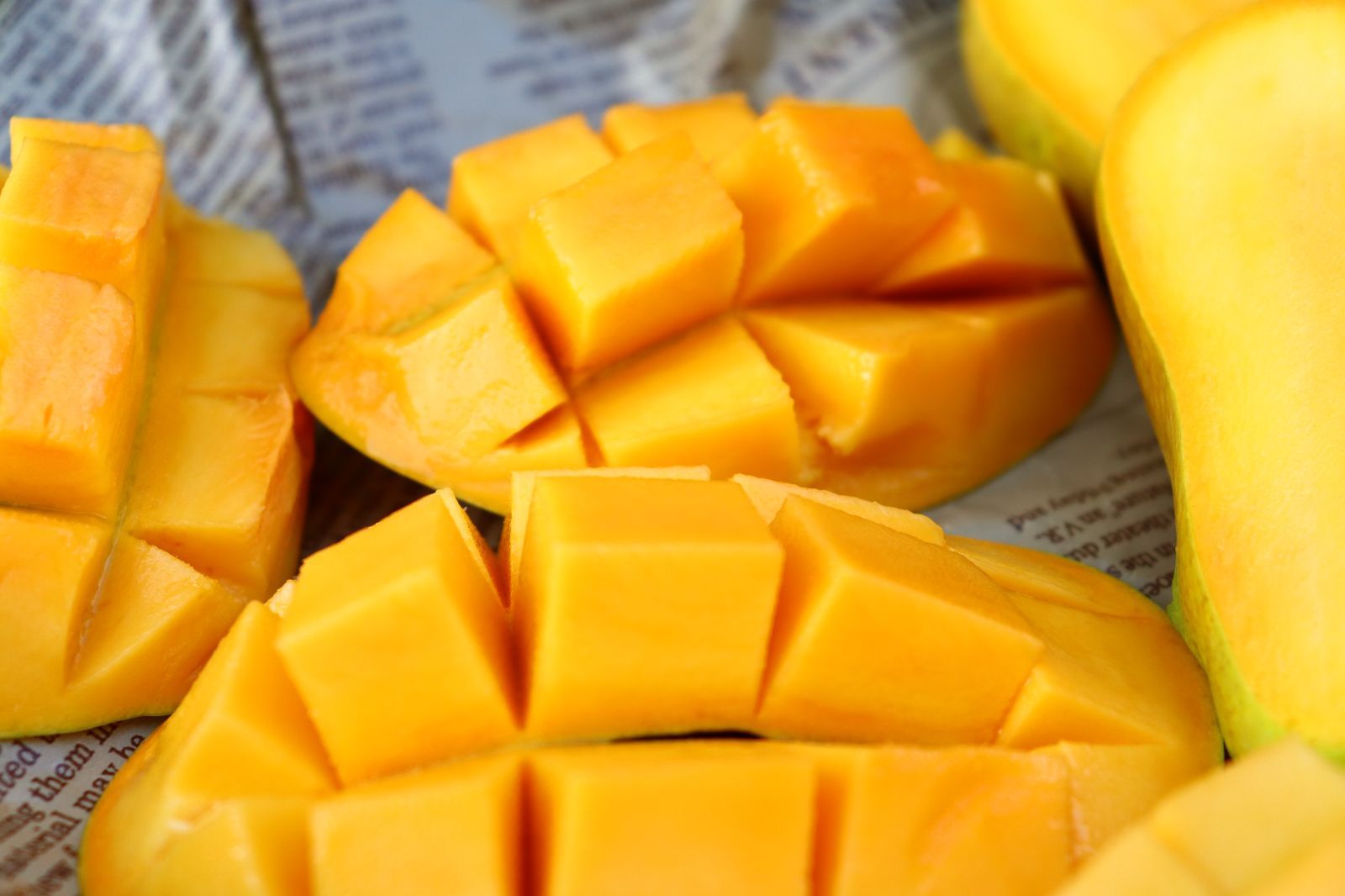 糖度20度越えのパキスタンマンゴー ホワイトチョンサ 5kg