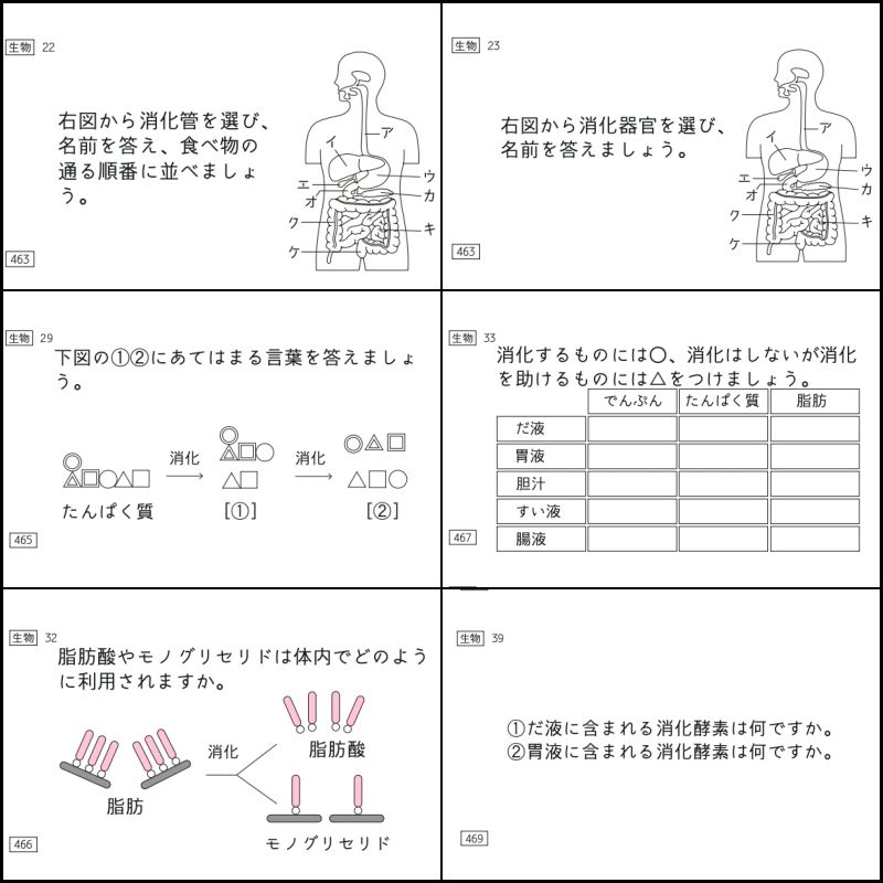 中学受験 暗記カード 理科 生物 サピックス 予習シリーズ コアプラス
