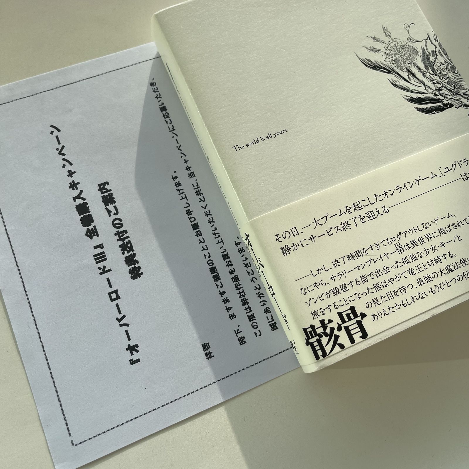 オーバーロードⅢ 全巻購入特典小説 亡国の吸血姫 - メルカリ