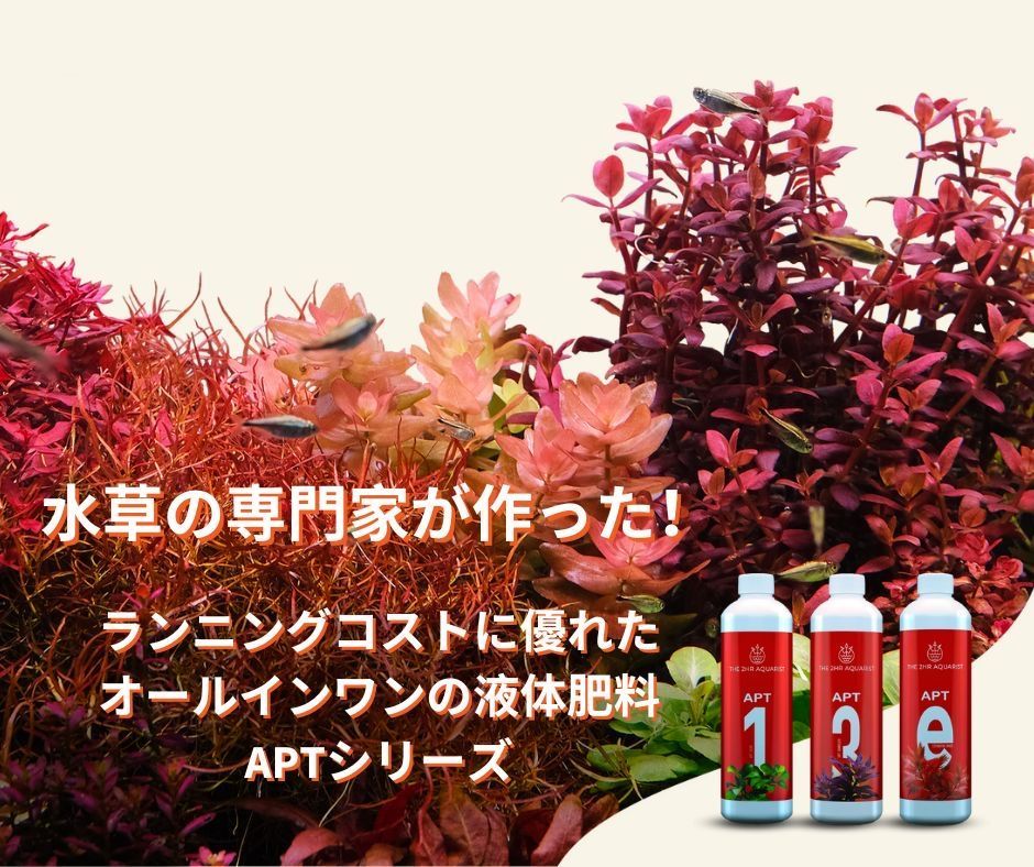 ランニングコストに優れた水草水槽用 液体栄養剤⭐️APTセット