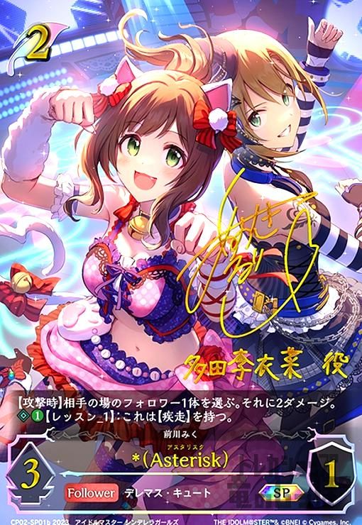 *(Asterisk)(SP)(CP02-SP01b)