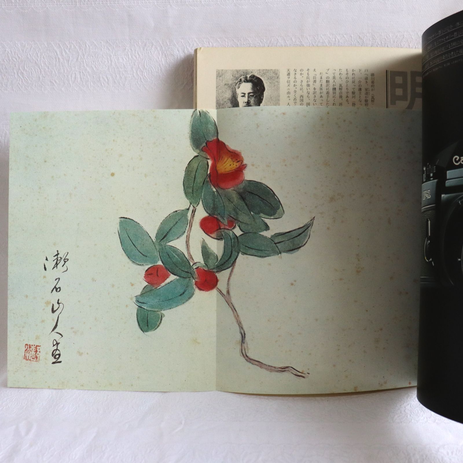 別冊太陽　近代文学百人