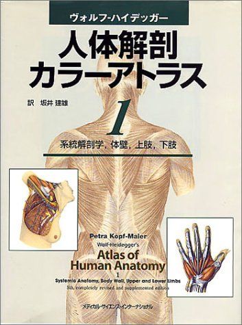 ゆー　美品！モーション解剖アトラス 上肢・体幹編 512Ume5O+vL._AC_SY200_QL15_.jpg