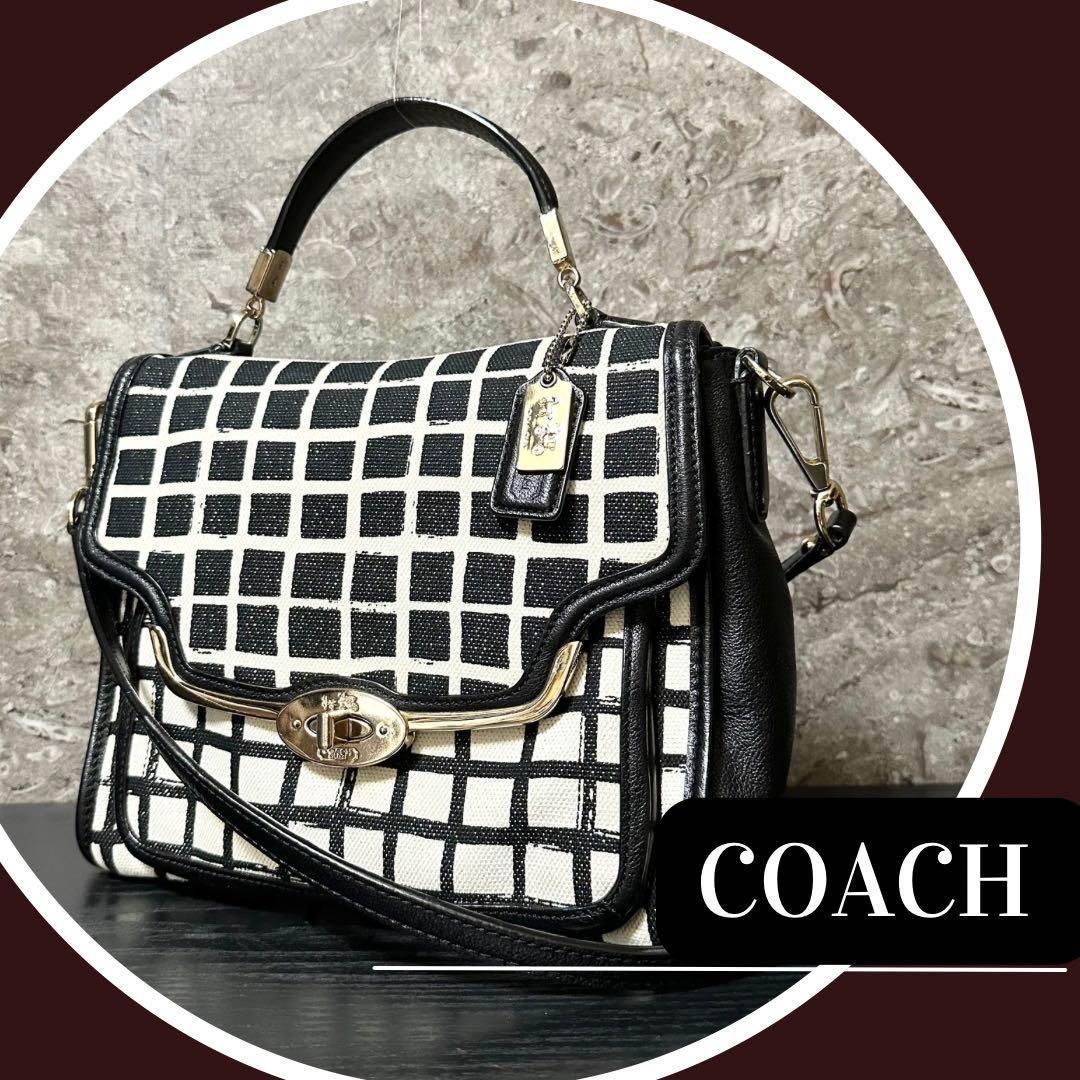 使用感少/美品】 COACH コーチ マディソン グラフィックプリント 