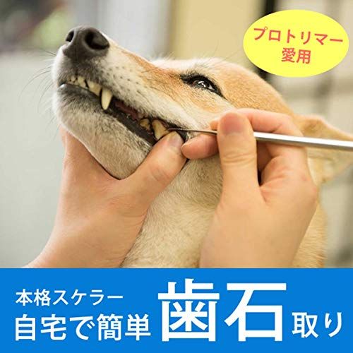 帝塚山ハウンドカム] 愛犬愛猫用 歯石取りペンチ デンタルケア