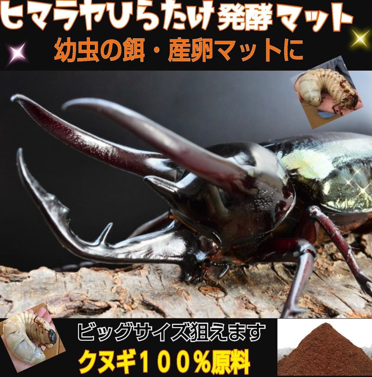 カブトムシ幼虫が大きくなる！栄養たっぷり！高品質 発酵マット【2袋