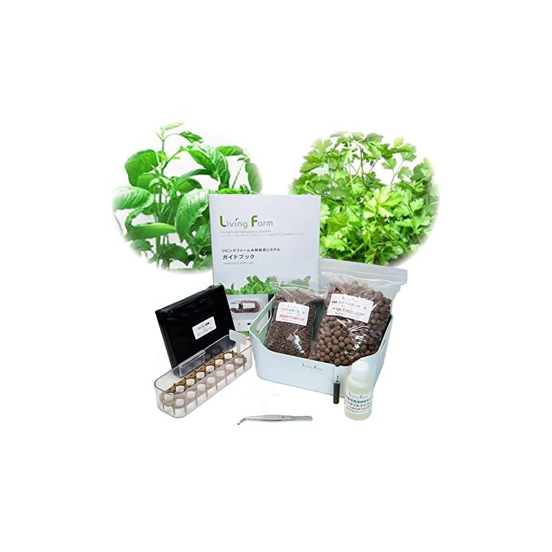 iomari様専用◇絶対糖度の頂点 260cm来年収穫用、 マッサン