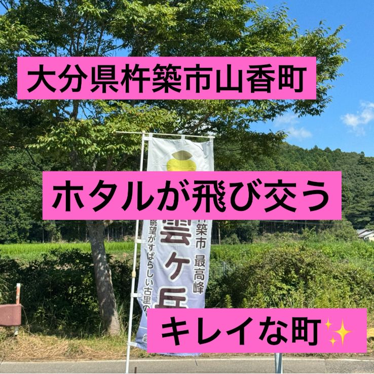 新米 山香米（ヒノヒカリ）5kg 令和7年産 大分県産- メルカリ