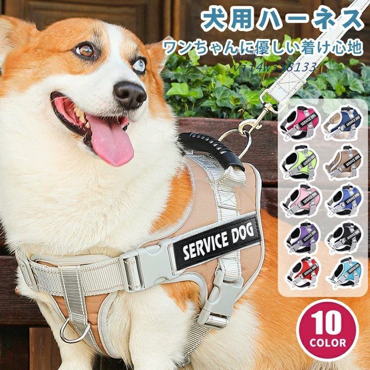 美品 GAWHARET EL FAN ダラブッカ ヘッドMITTELLO