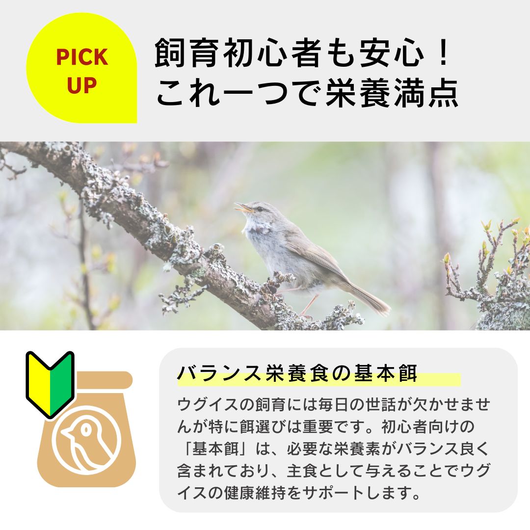 ウグイス、ホウジロ、メジロ用品 ウグイス、ホウジロ、メジロ用品 ウグイス、ホウジロ、メジロ用品