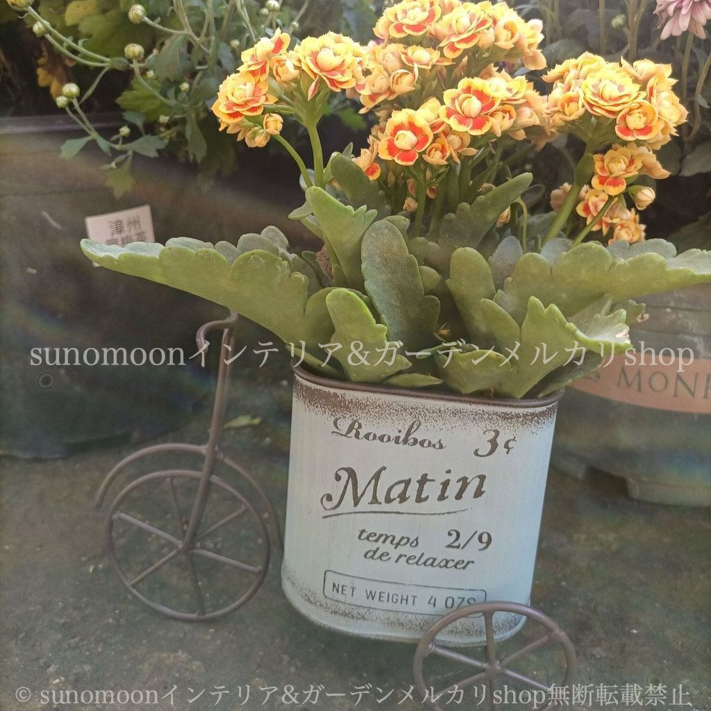 プランター