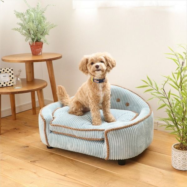  ペット用ベッド ソファ 犬用 猫用 MARRON マロン BL ブルー ベッド クッション ベッド クッション ハウス