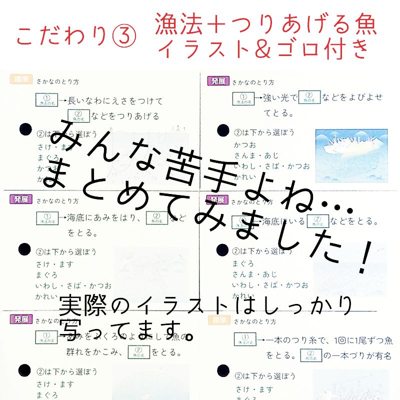 Amazon.co.jp: 極める地理《知識編》7冊セット(2025リニューアル
