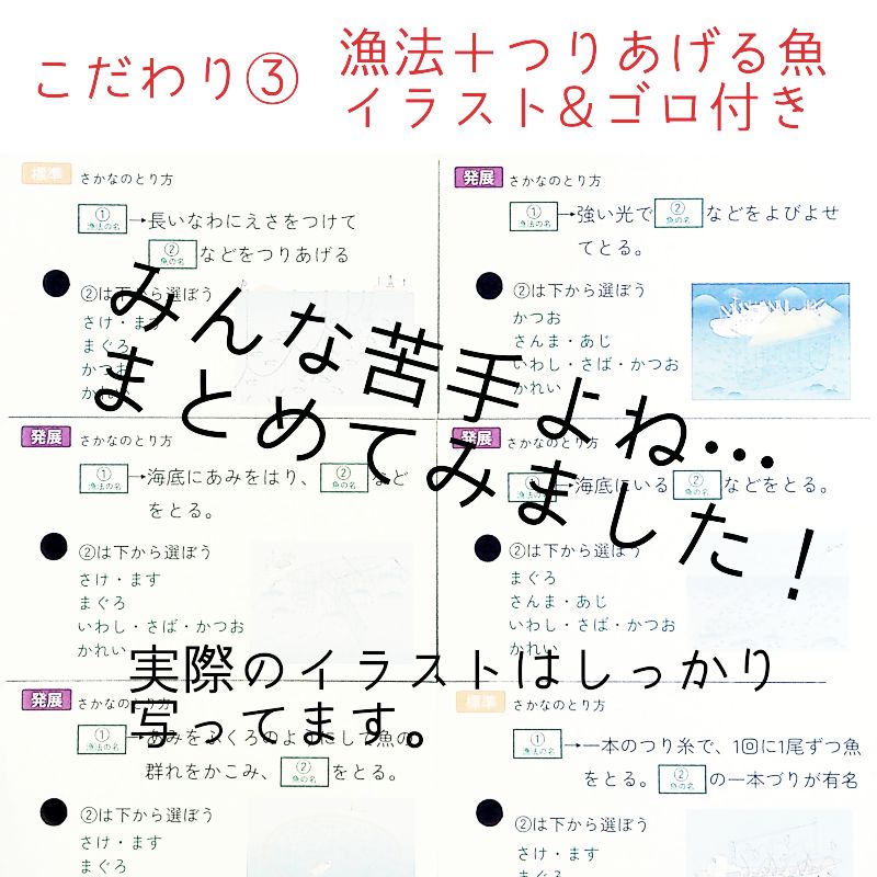 中学受験 極める地理カード フルセット8冊 暗記カード 中学入試 - メルカリ