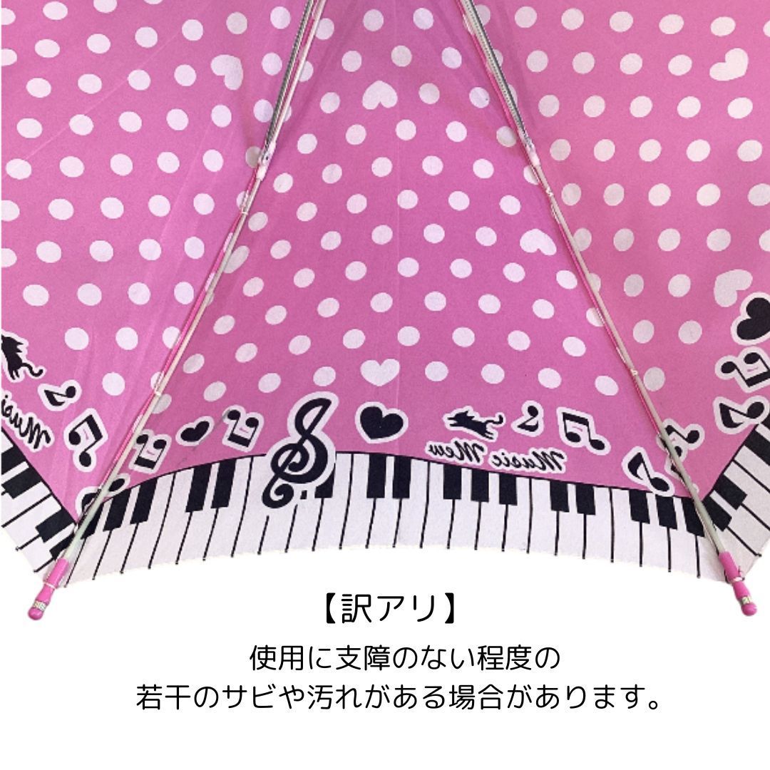 透明窓付き 50cm