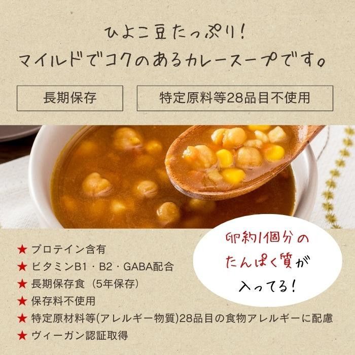 ひよこ豆カレー 30袋入