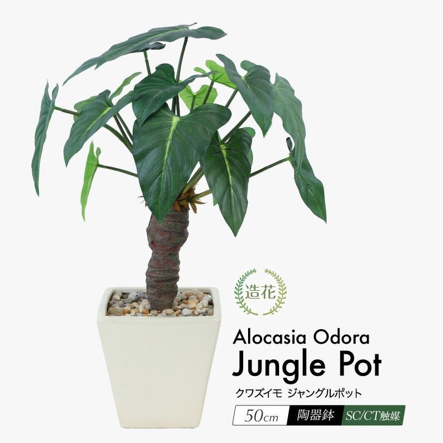 額装品/Mondo ショーンオブザデッド 限定325枚/ポスター/インテリア