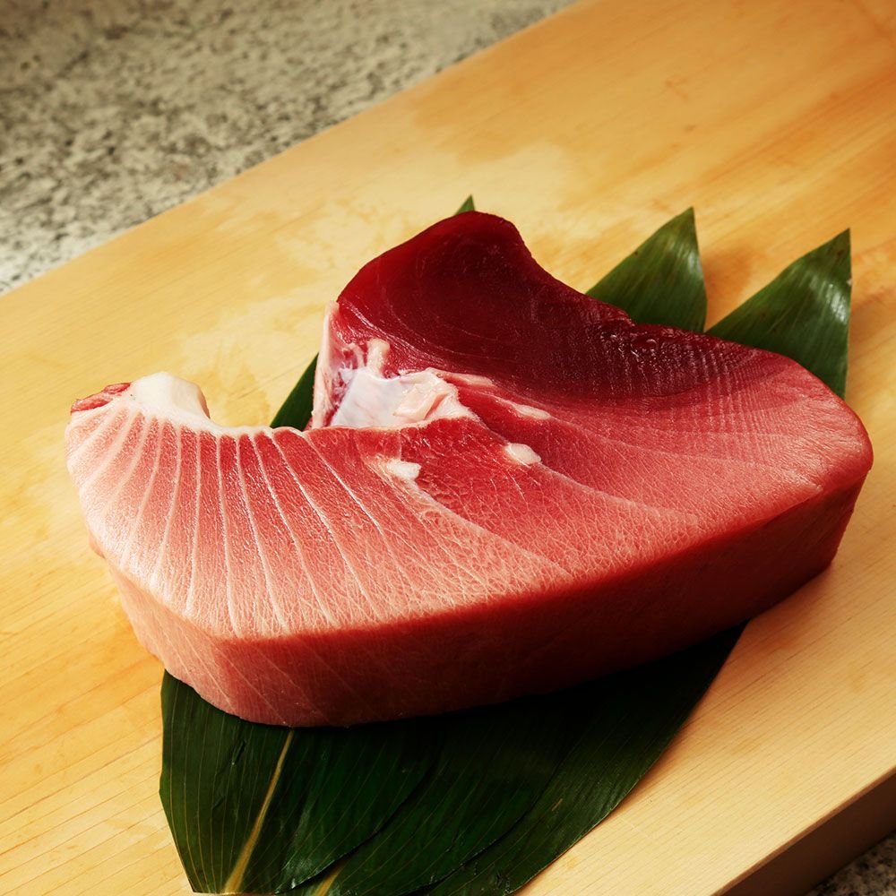 静岡焼津 天然南まぐろ ブロック(大トロ付)500g 【公式通販】