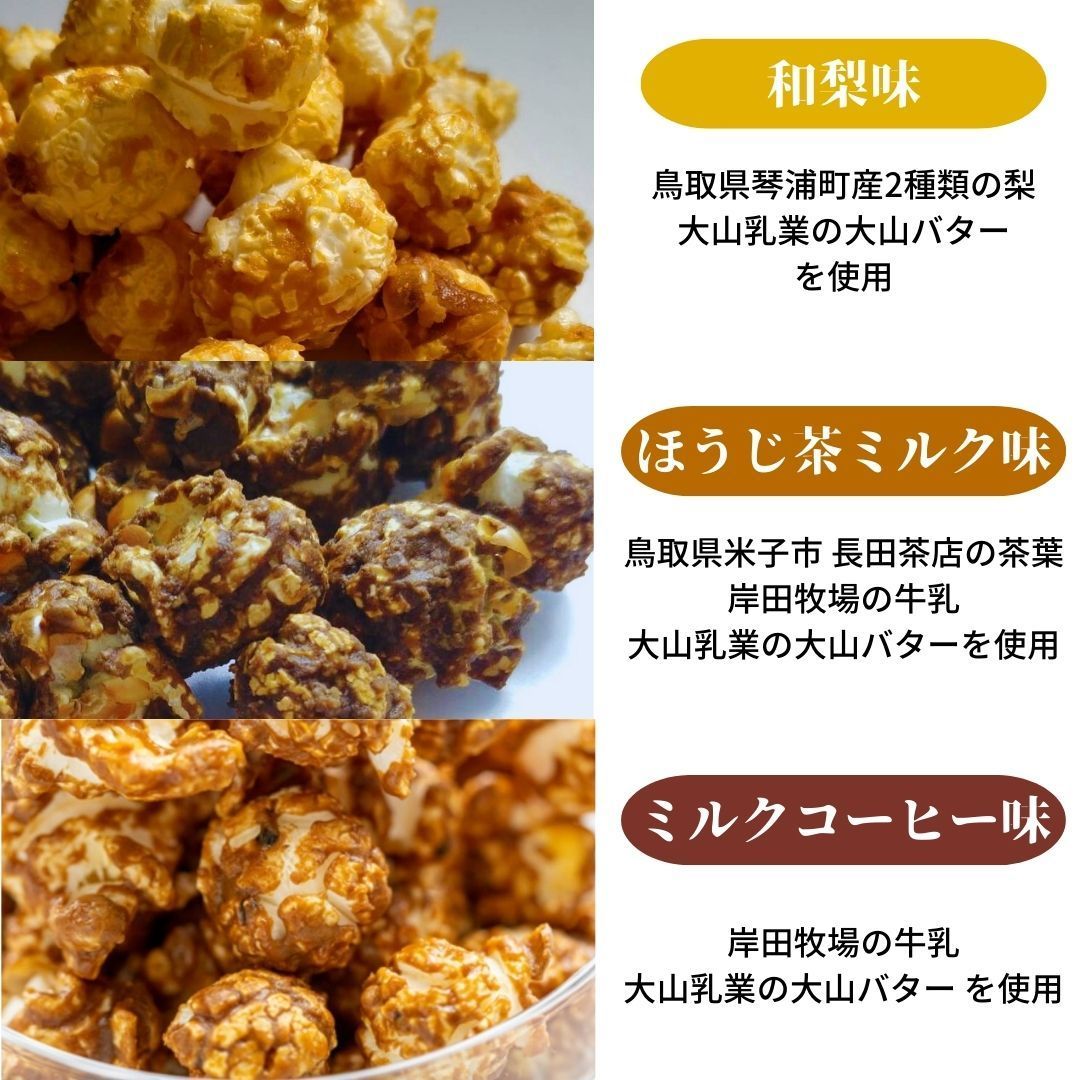 ポップコーン フレーバー 国産 無添加 スイーツ ギフト 御中元 御歳暮 お返し 御礼 お祝い プレゼント 手土産 差し入れ おしゃれ 高級 お菓子 食べ比べ 11種類