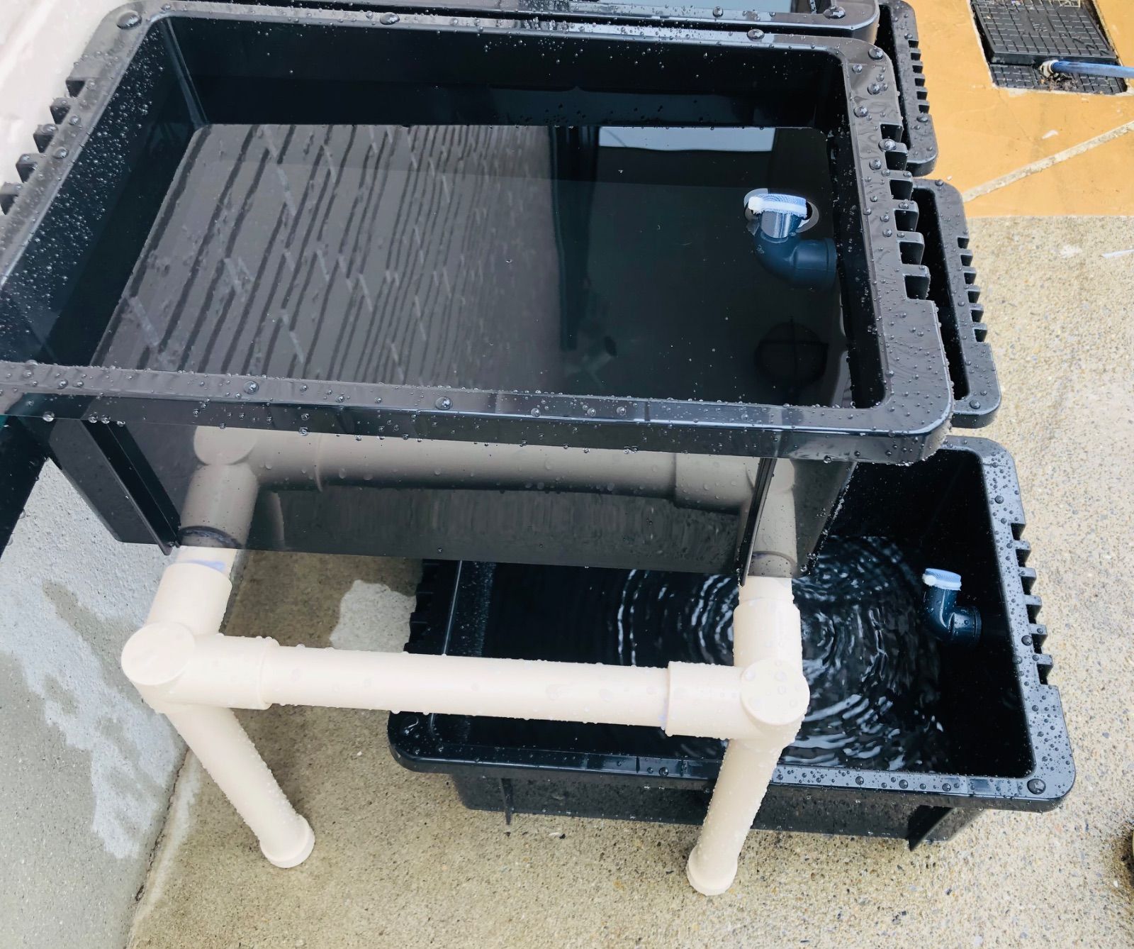 メダカ飼育ラック ブラック【接着剤付】 NVBOX13を8個置けます メダカ飼育ラック ブラック【接着剤付】 NVBOX13を8個置けます