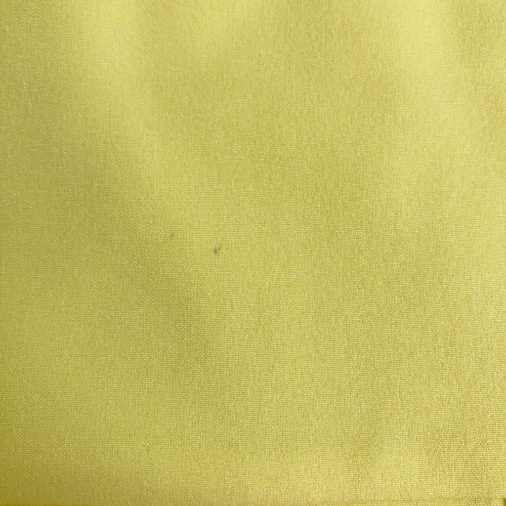 モデル プリーツスカート