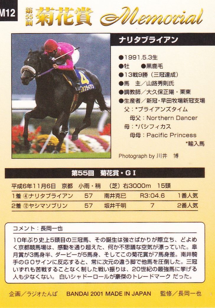 ナリタブライアン：第55回 菊花賞「サラブレッドカード 00年下半期