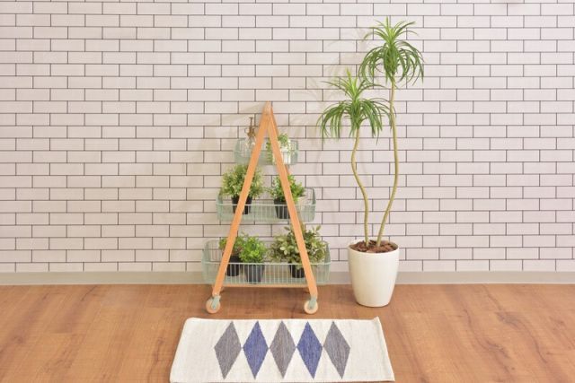 フェイクグリーン 植物