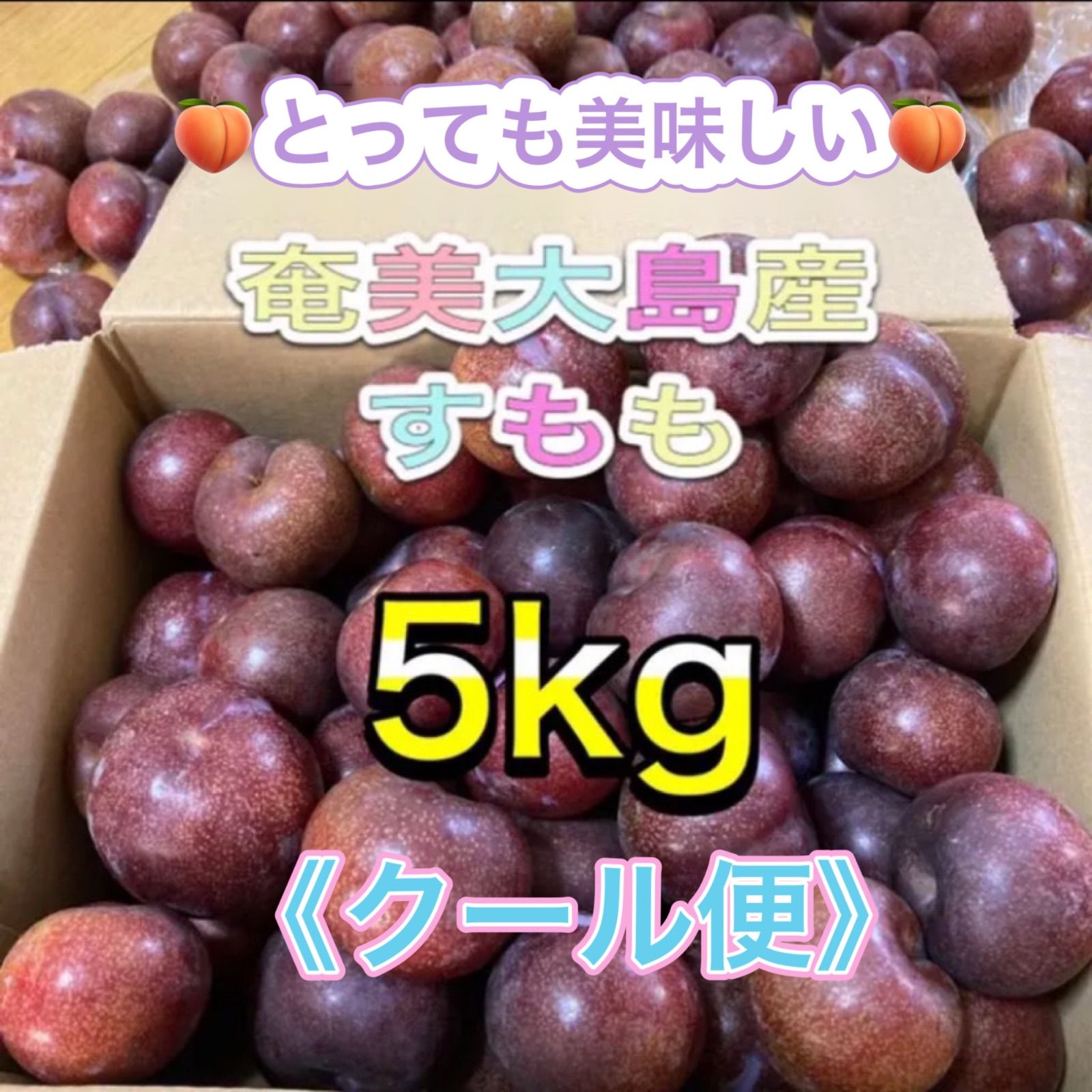 奄美すもも5キロ 採れたて新鮮温風 奄美大島産 すもも 5kg 採れたて新鮮温