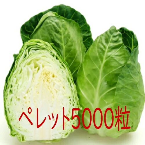 入荷次第出荷 カネコ種苗 ユニコーン キャベツ ペレット５０００粒