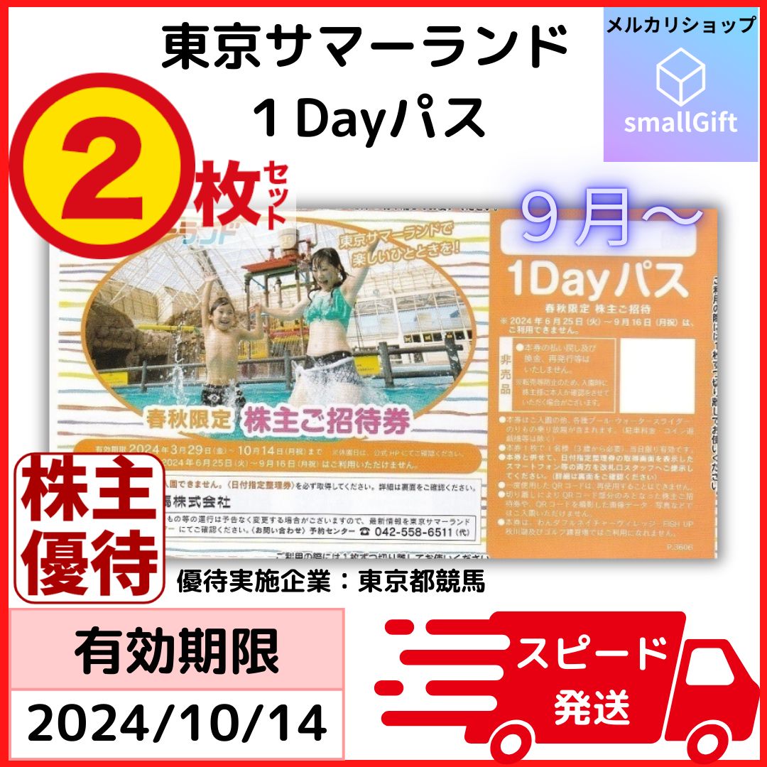 東京サマーランド 1Dayパス2枚 しる 株主ご招待券 有効期限2024年