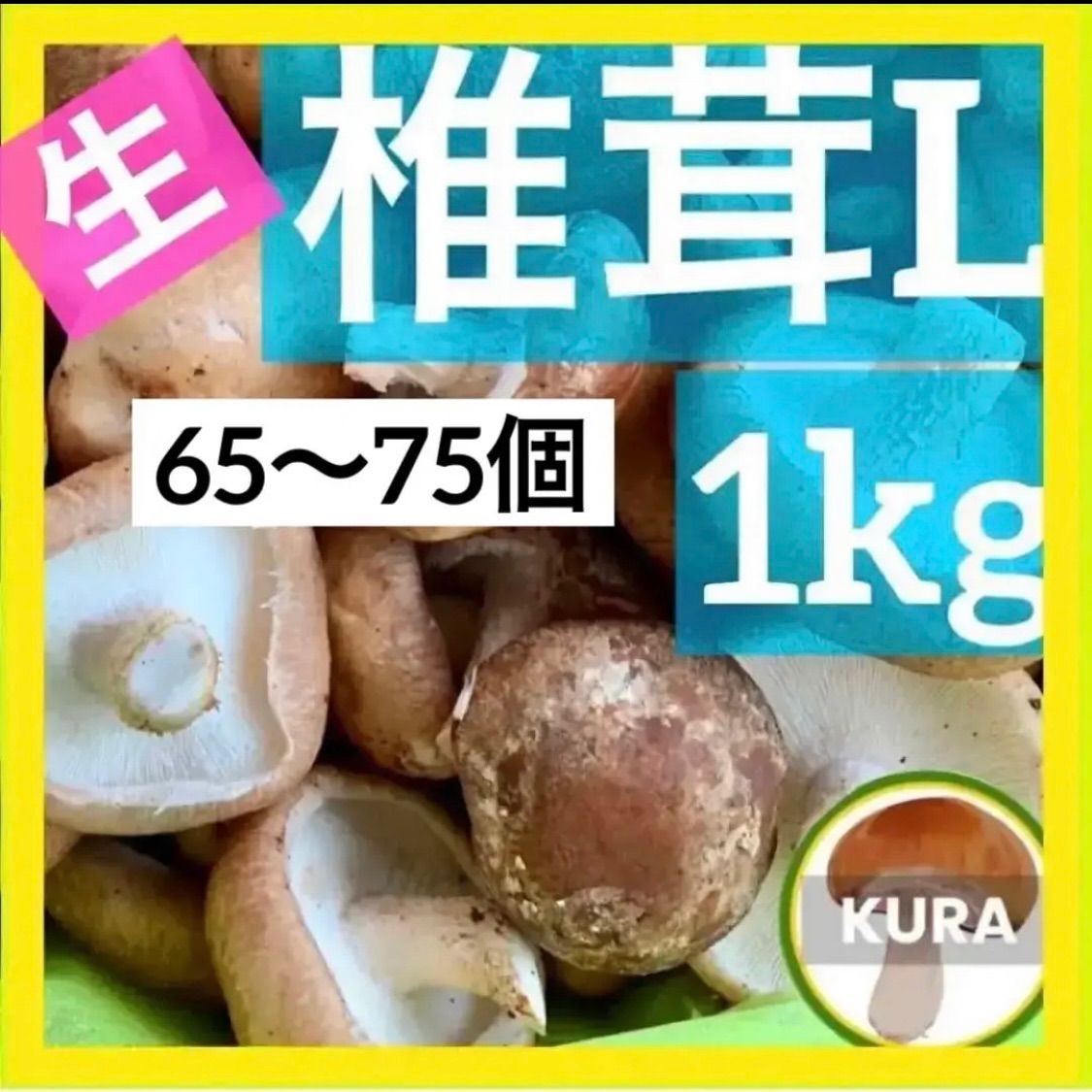 ☆大人気☆送料込み☆ 兵庫県淡路島産 生しいたけ♪ Lサイズ 1㎏ 生