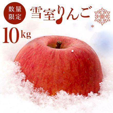 山形県産 青森県産 雪室りんご ご家庭用 サンふじ ふじ 10kg 東北ECグローバル TG