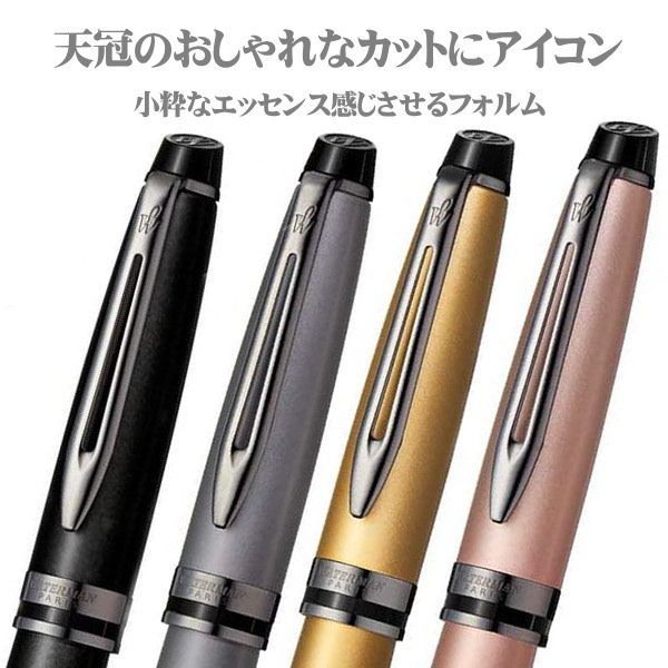 ウォーターマン WATERMAN ボールペン エキスパート メタリックシルバー