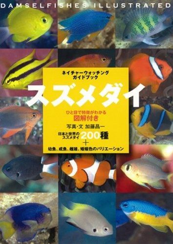 miwa DVD blu-ray 3点セット   バラ売り可 miwa DVD blu-ray 3点セット バラ売り可 【公式通販】