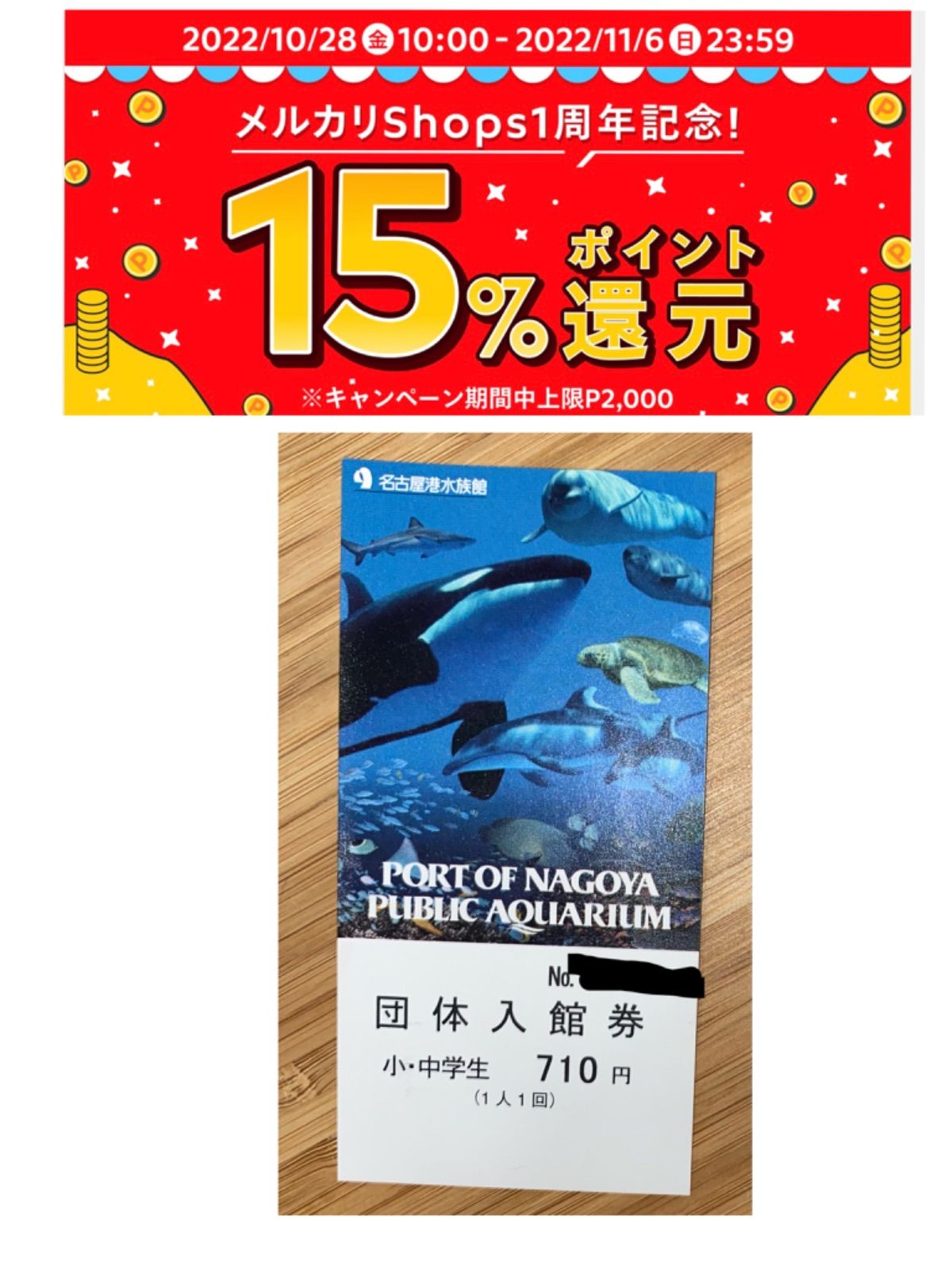 永源寺温泉 八風の湯 入館券 ４枚 +滋賀周遊クーポン - その他