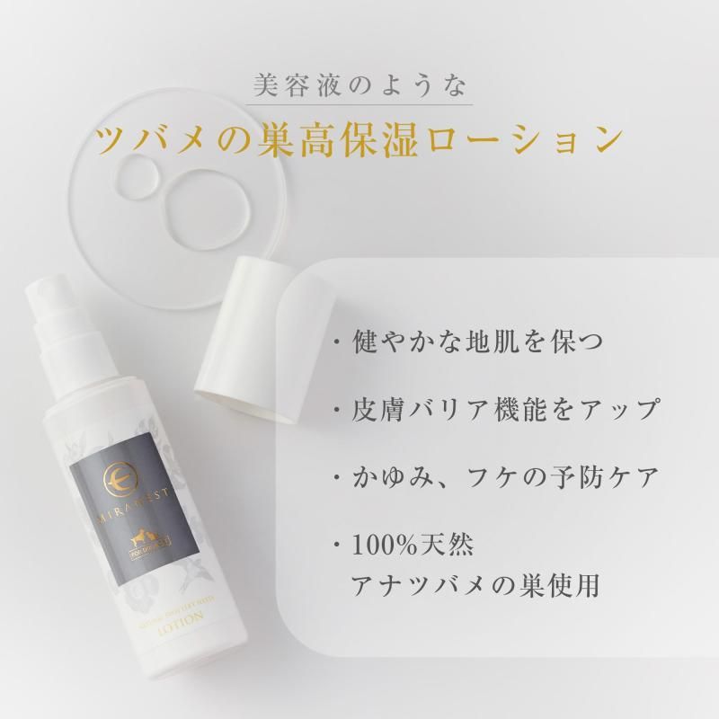 アナツバメの巣