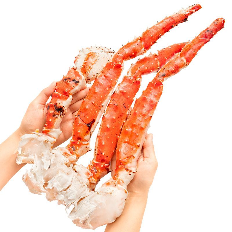 足 肩セクション