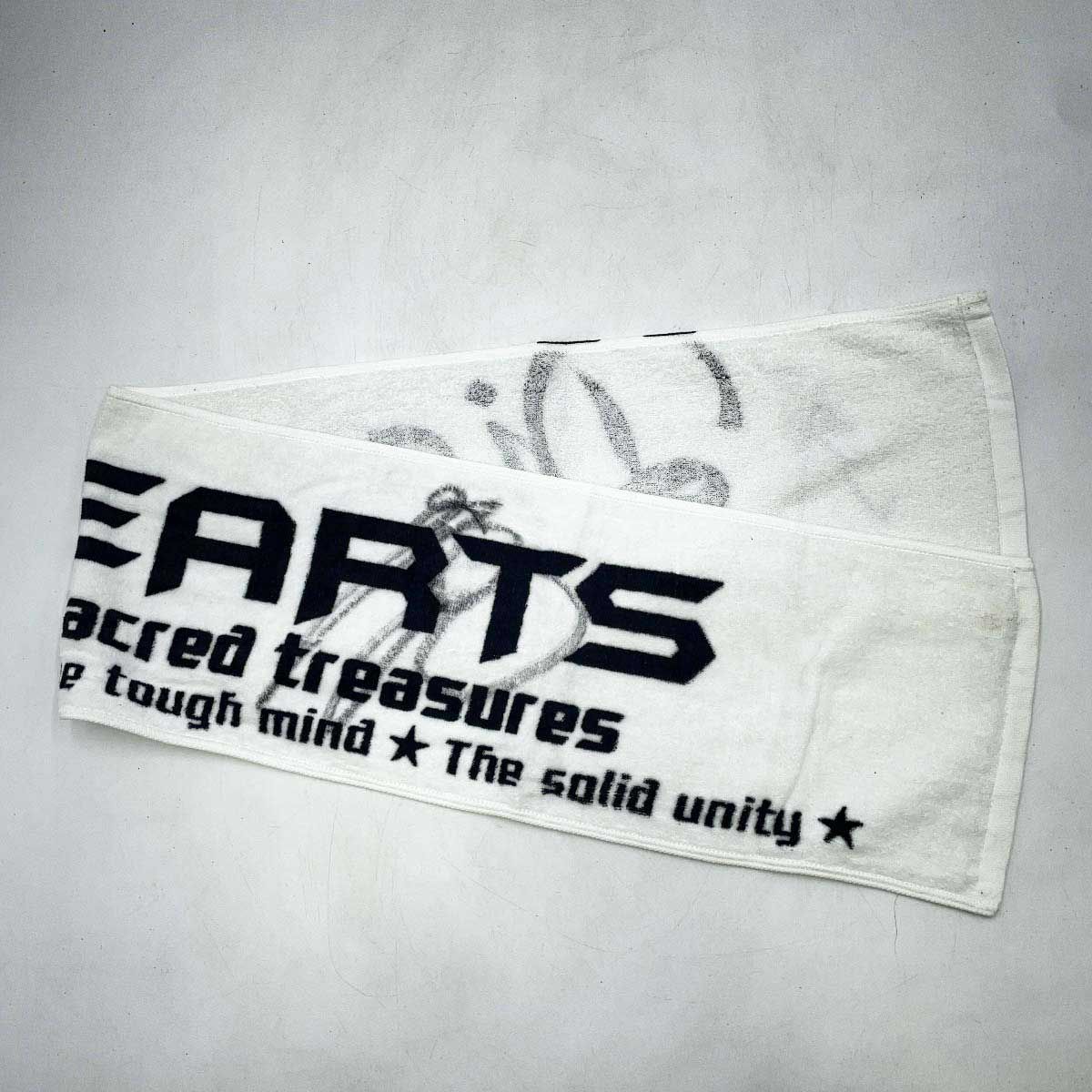 闘龍門 ドラゴンゲート プロレス タオル 望月成晃 KZY ビッグR清水