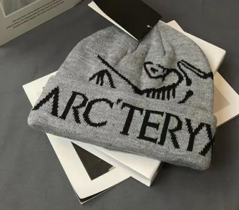 Arc'teryx Bird Word Toque ビーニー 　ニット帽子　グレー