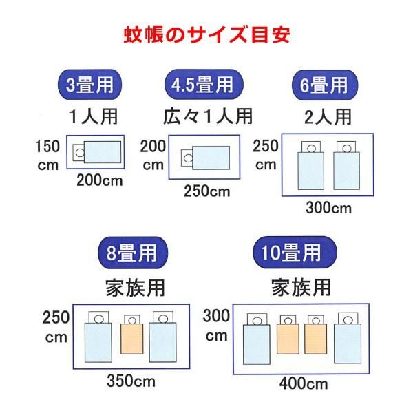 ダブル 大人2人