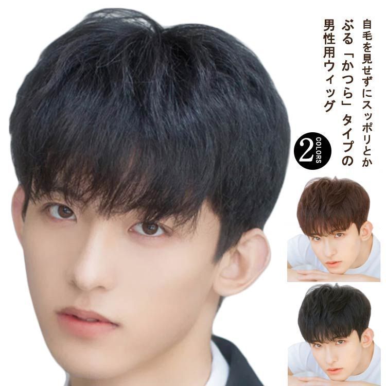 楽天市場】人毛100％! メンズウィッグ 男性用かつら メンズ
