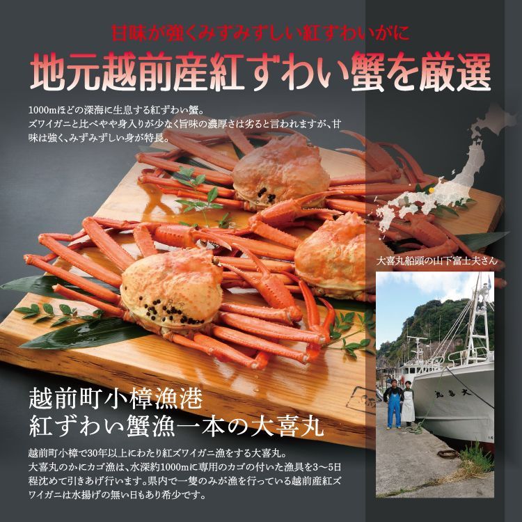 訳あり 越前産 浜茹で「紅ずわいがに」 姿 3杯 【未冷凍】 1杯あたり約200～300g 【美味食卓さくだ屋】
