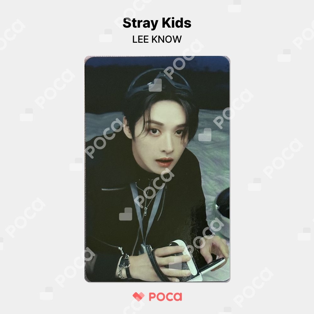 straykids リノ スキズ トレカ Stray Kids 3RD FANMEETING PILOT